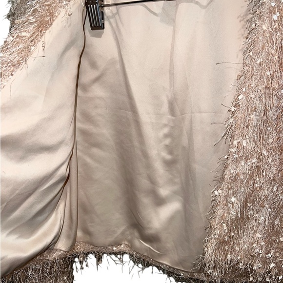 Forever 21 Shimmering Pink Fuzzy Blazer - Picture 4 of 6